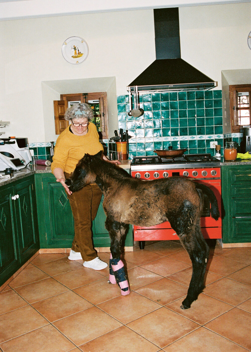 An older woman stands in a green-tiled kitchen, reaching out to a small brown foal wearing a pink and black leg brace on its front leg. The foal stands on the tiled floor near the red stove.