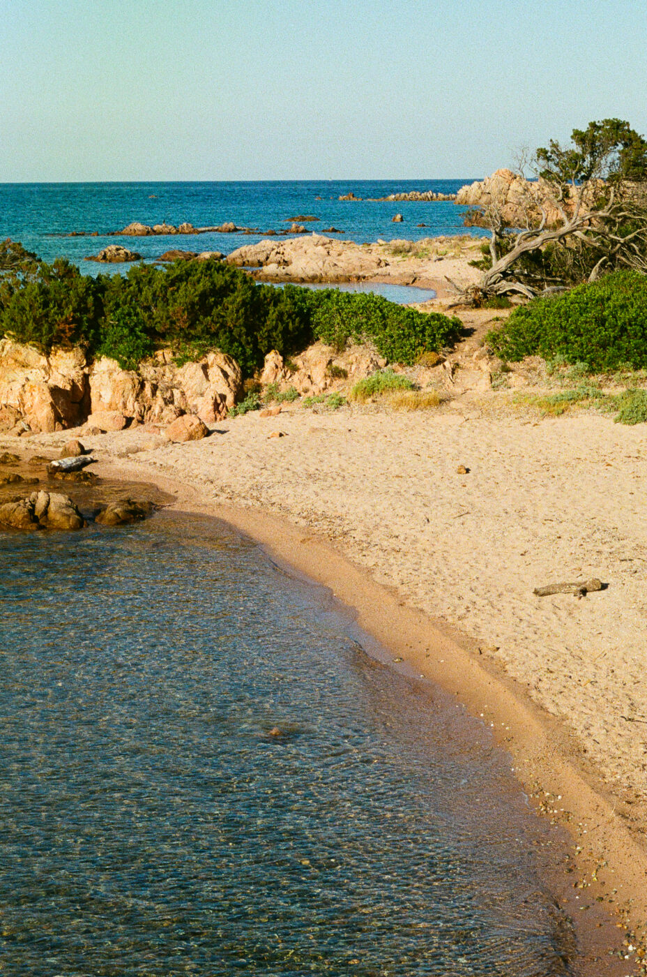 Una spiaggia sabbiosa si snoda lungo un mare limpido e poco profondo, con affioramenti rocciosi e arbusti verdi sullo sfondo, sotto un cielo azzurro e limpido.