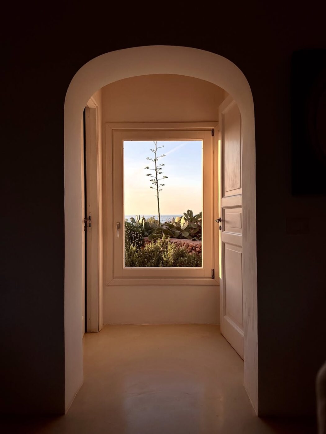 La luce del sole passa attraverso una finestra incorniciata da una porta ad arco - La luce del sole passa attraverso una finestra ad arco, illuminando un interno dai toni neutri. Fuori dalla finestra, una pianta alta e una vegetazione rigogliosa sono visibili sotto un cielo limpido.