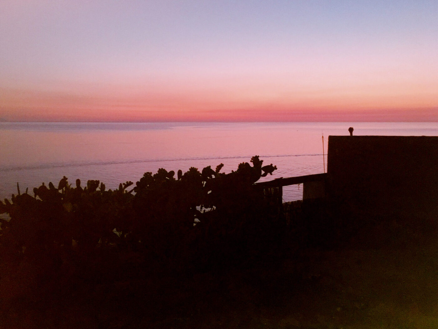 Silhouette di piante e di un edificio che si affaccia su acque calme al tramonto - Silhouette di piante e di un edificio in primo piano con acque calme che riflettono il cielo al tramonto; il cielo mostra un gradiente omogeneo dal rosa intenso vicino all'orizzonte all'azzurro chiaro più in alto.