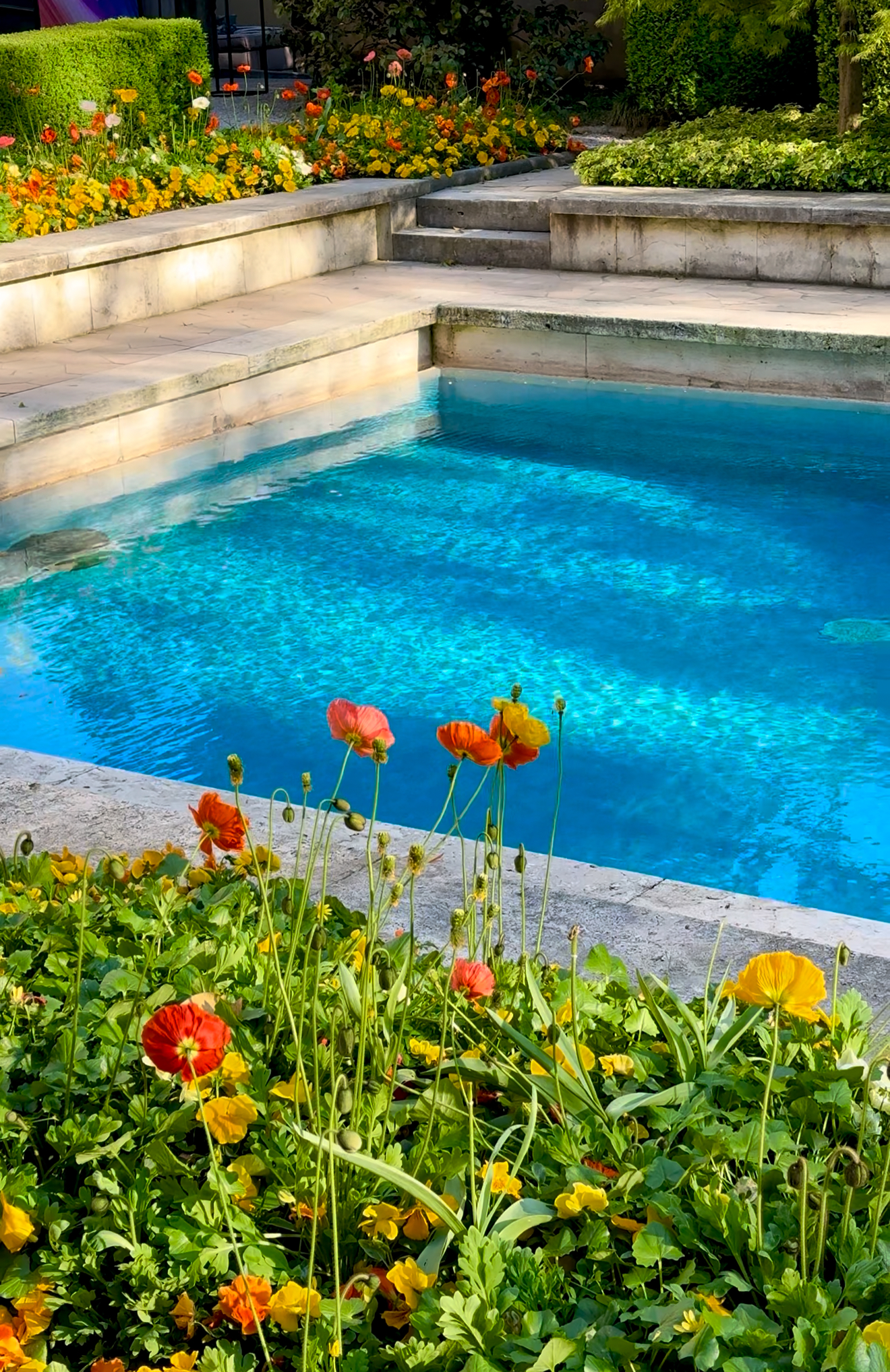 Summer Garden Oasis - A clear blue swimming pool bordered by stone and surrounded by bright orange and yellow flowers and lush green plants on a sunny day. Let me know if you need this for another image title or have more requests!.