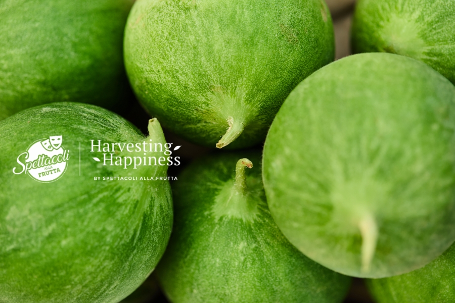 Harvesting Happiness - Primo piano di diversi fichi verdi e rotondi con steli corti. Il testo in sovrimpressione recita "Harvesting Happiness" e include il logo di Spettacoli Alla Frutta.
