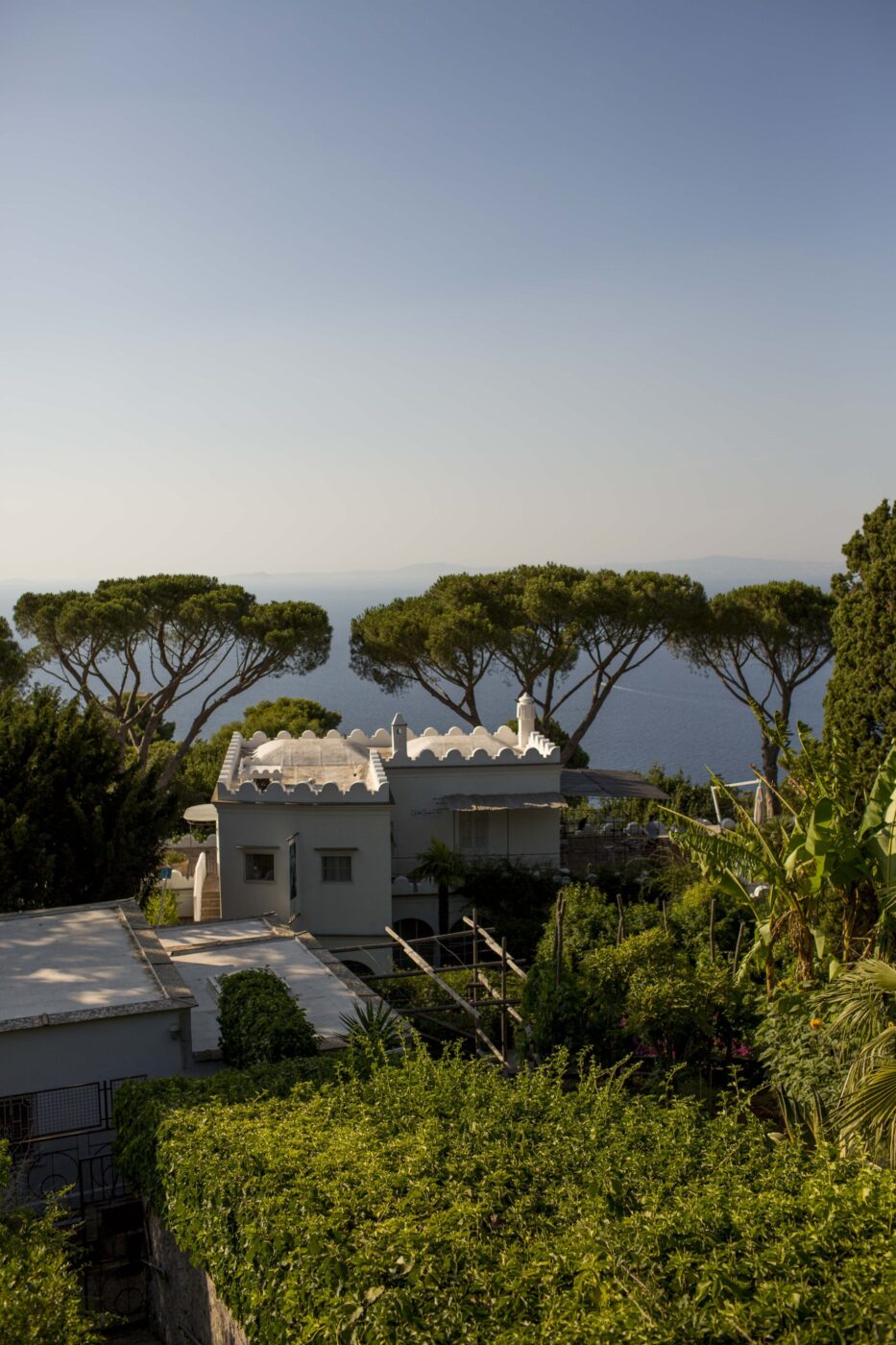 [Una casa bianca con un tetto decorativo si trova tra la vegetazione lussureggiante, affacciata sul mare. Alti pini a forma di ombrello sono visibili sullo sfondo sotto un cielo azzurro e limpido.