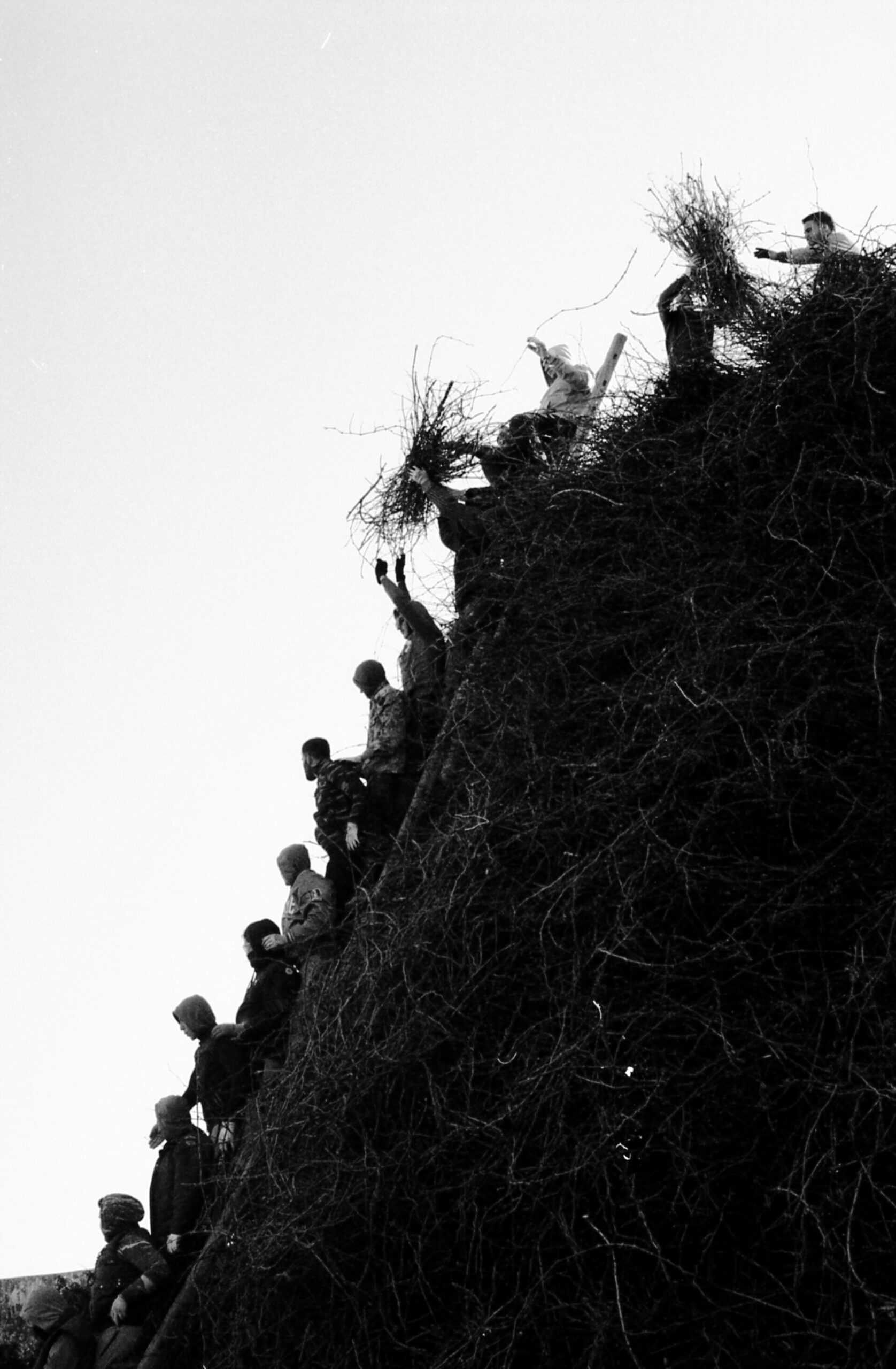 Una fila di persone sale su un pendio ripido e frondoso, alcune con fasci di ramoscelli, tutte stagliate contro un cielo pallido in bianco e nero.