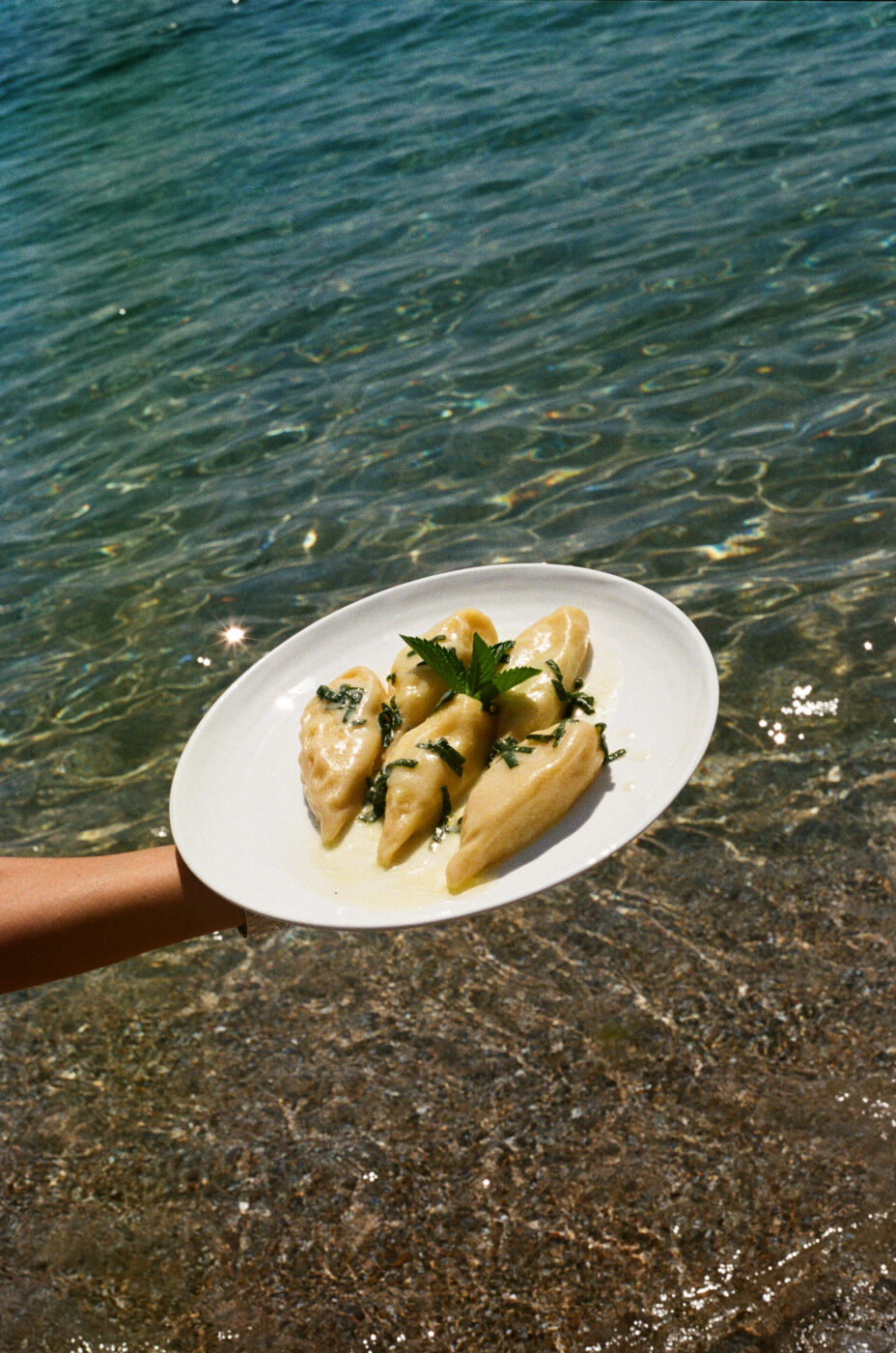 A hand holds a white plate of herb-garnished stuffed pasta, with clear sunlit water and sandy beach in the background.
