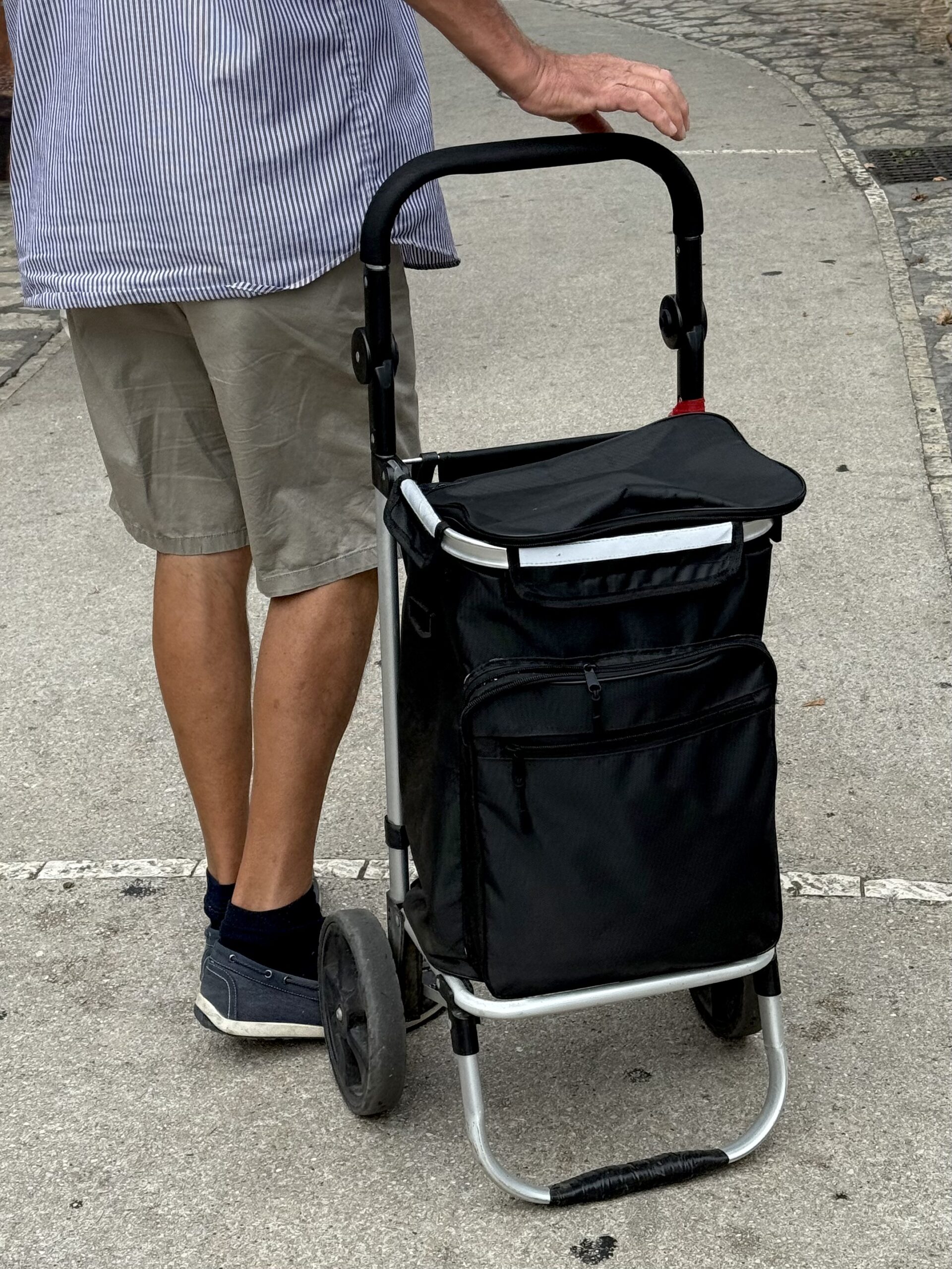 A person in a blue striped shirt, beige shorts, and dark shoes walks on the sidewalk, pushing a black wheeled shopping cart.