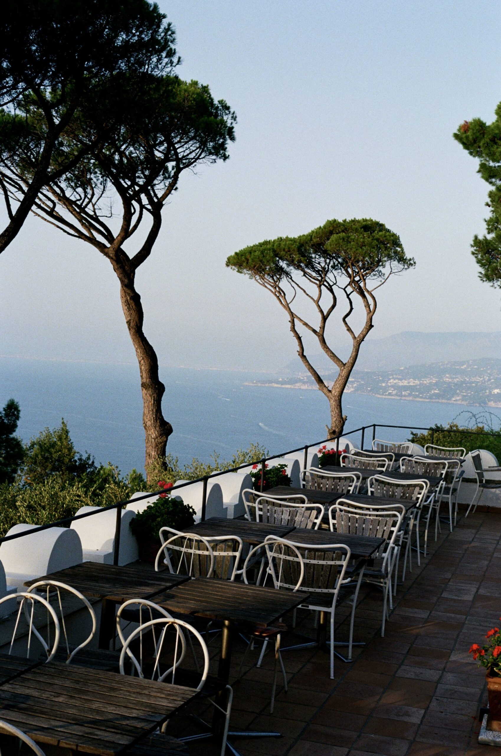 Terrazza esterna con tavoli, sedie, fiori rossi sul muro, vista sul mare, alti pini, montagne lontane sotto un cielo limpido.