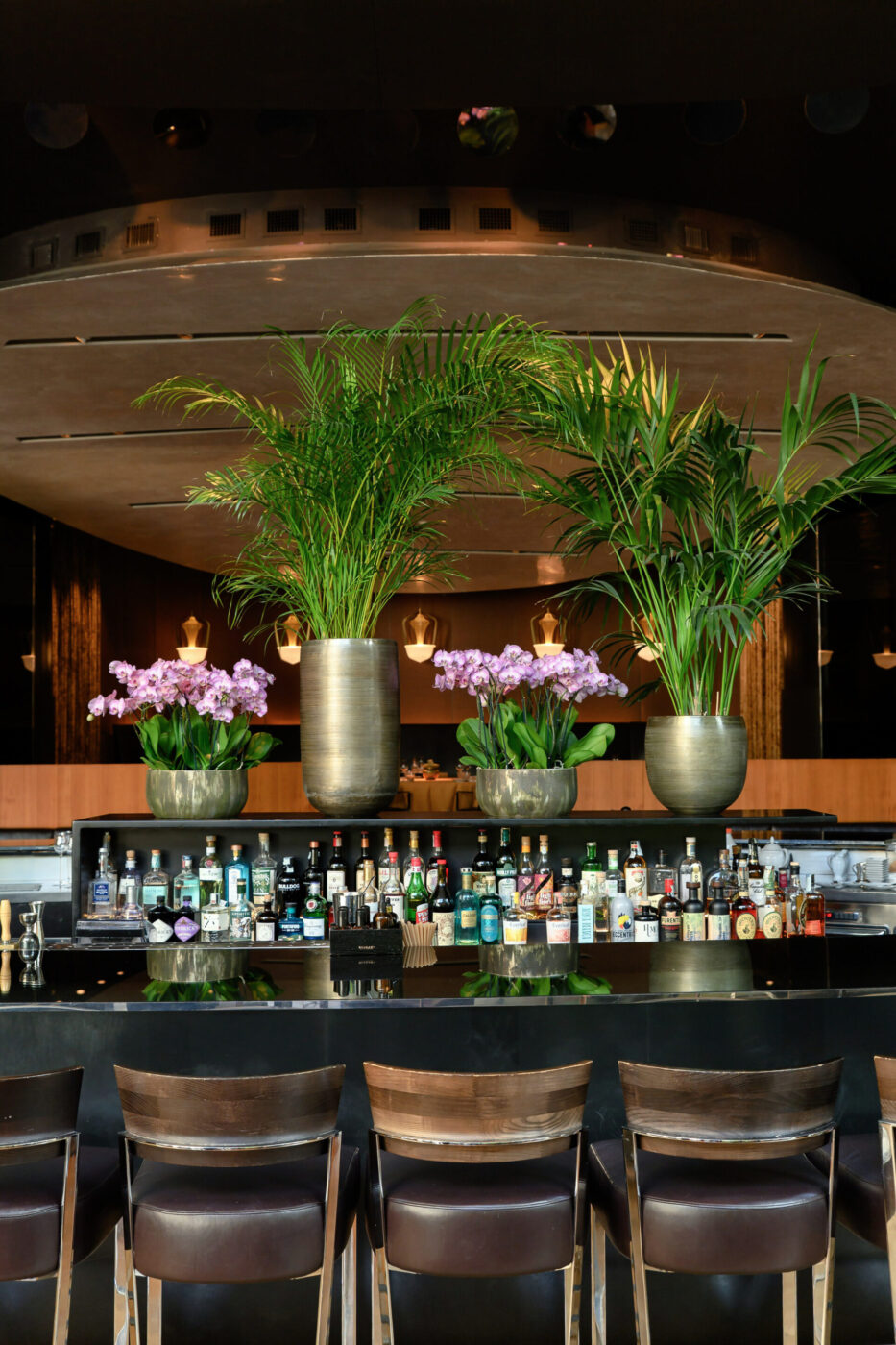 A stylish bar with wooden chairs, assorted liquor bottles, and three potted plants—two palms, one with purple flowers—on the bar top.