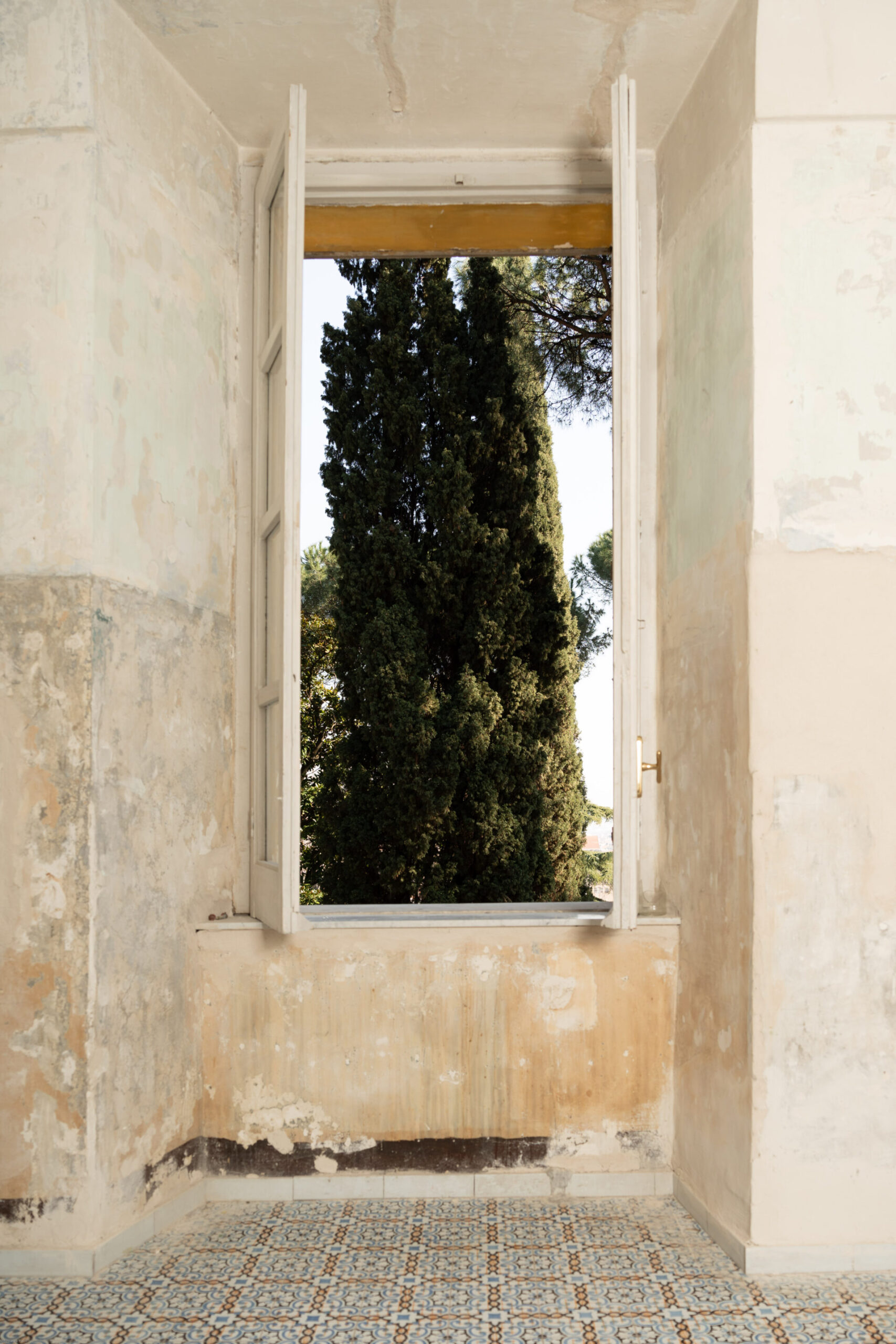 A tall, narrow window in a peeling room looks out onto a large cypress; sunlight lights the faded floor and textured walls.