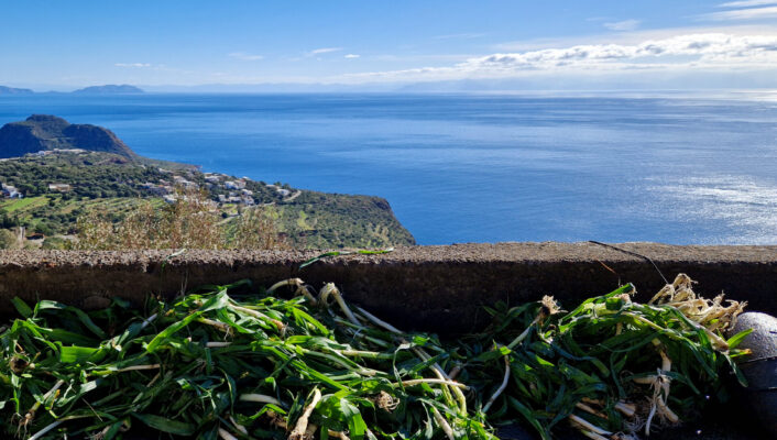 Freshly harvested green onions on a stone ledge, with a scenic coastline of blue sea, green hills, and clear sky in the background.