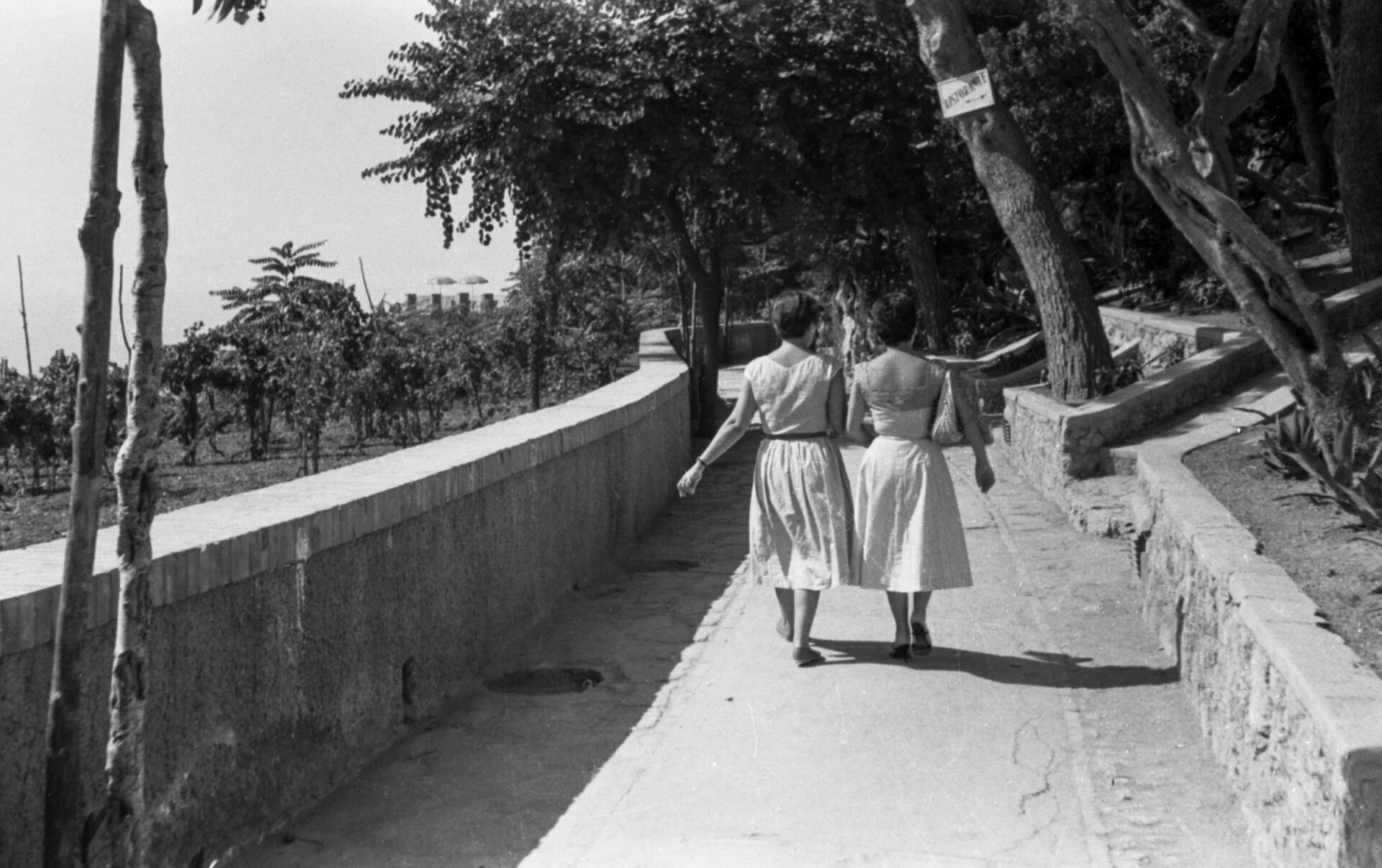 Two women in light dresses walk along a curved, tree-lined path by a stone wall, sunlight casting shadows on the ground.