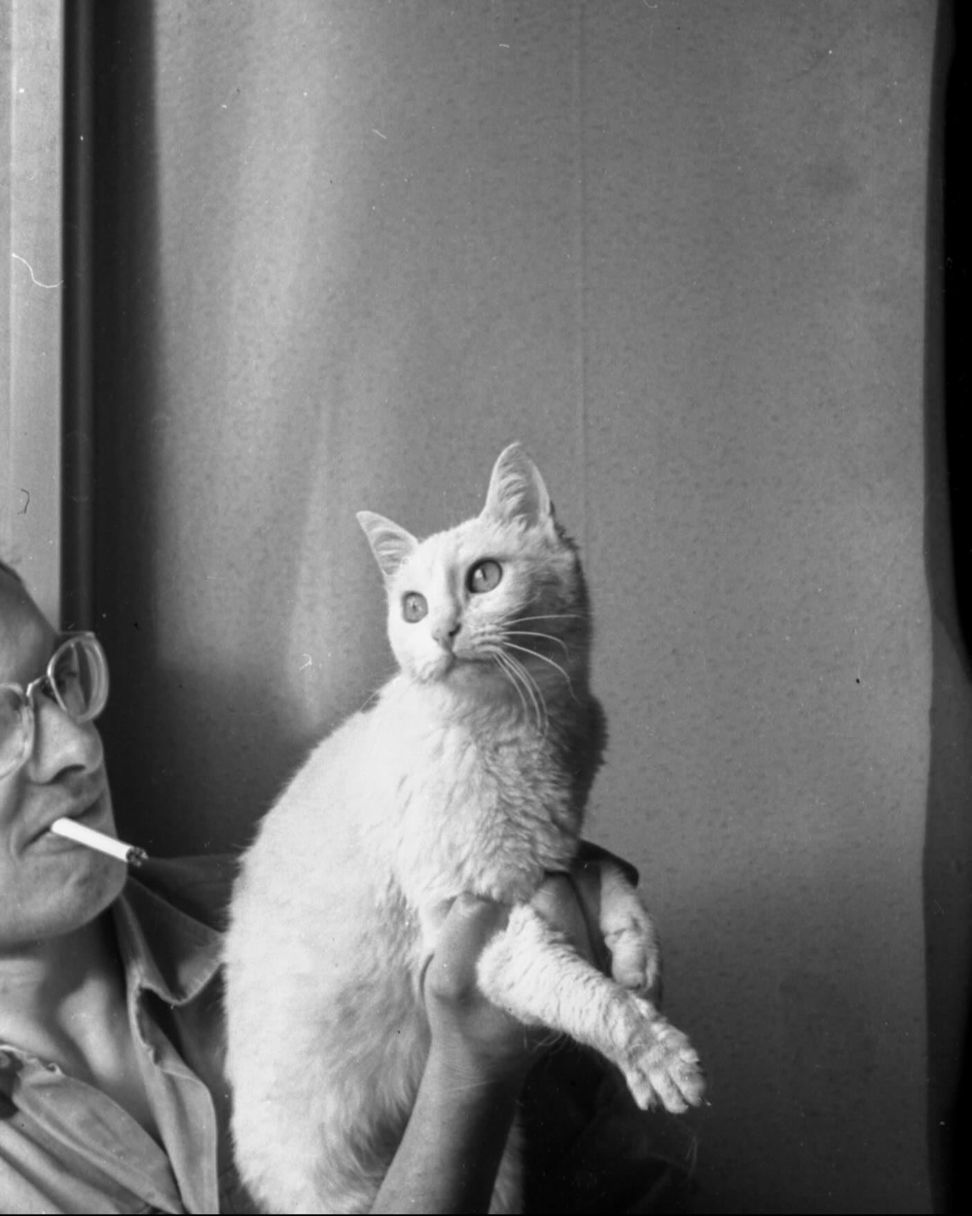 A person with glasses and a cigarette holds a pale cat looking sideways; the softly lit background is simple.